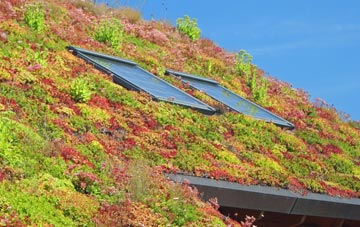 Bottom O Th Moor living roof systems