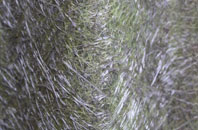 Bottom O Th Moor fibreglass roof work